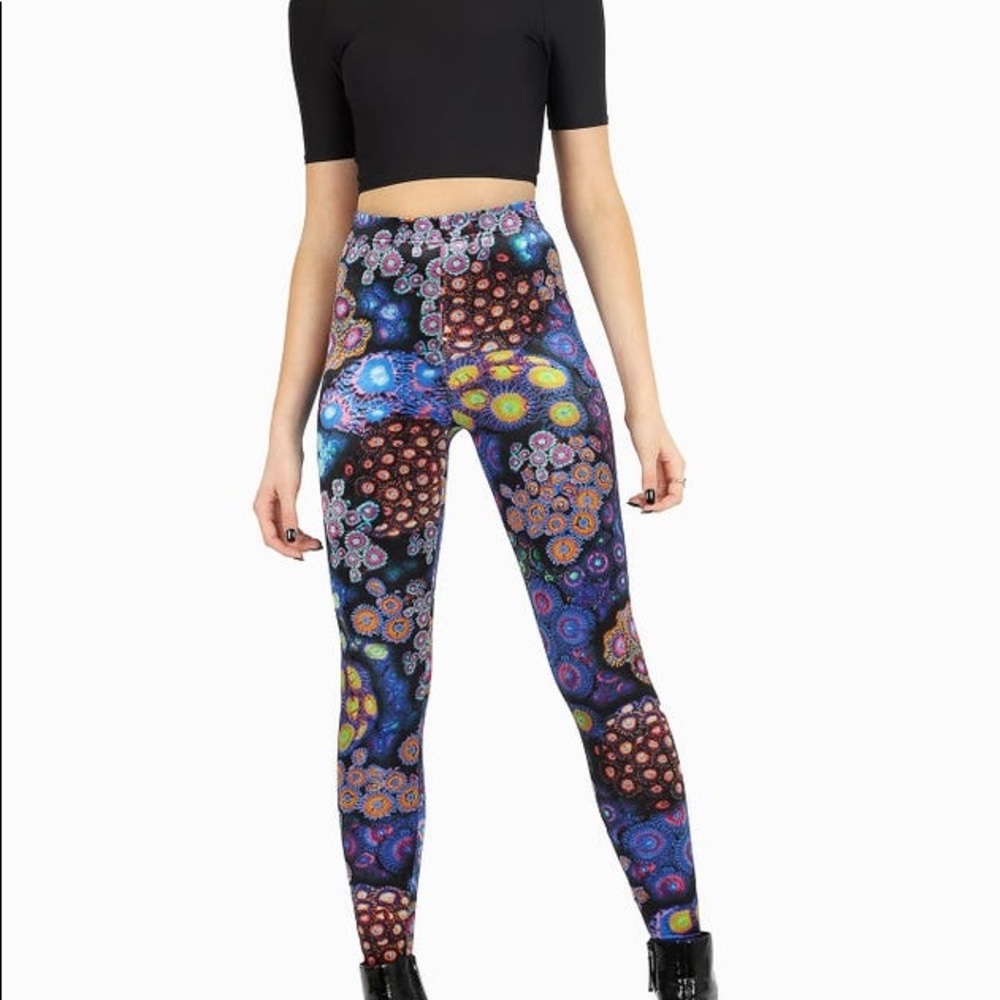 Blackmilk Zoa Garden HW Velvet Leggings